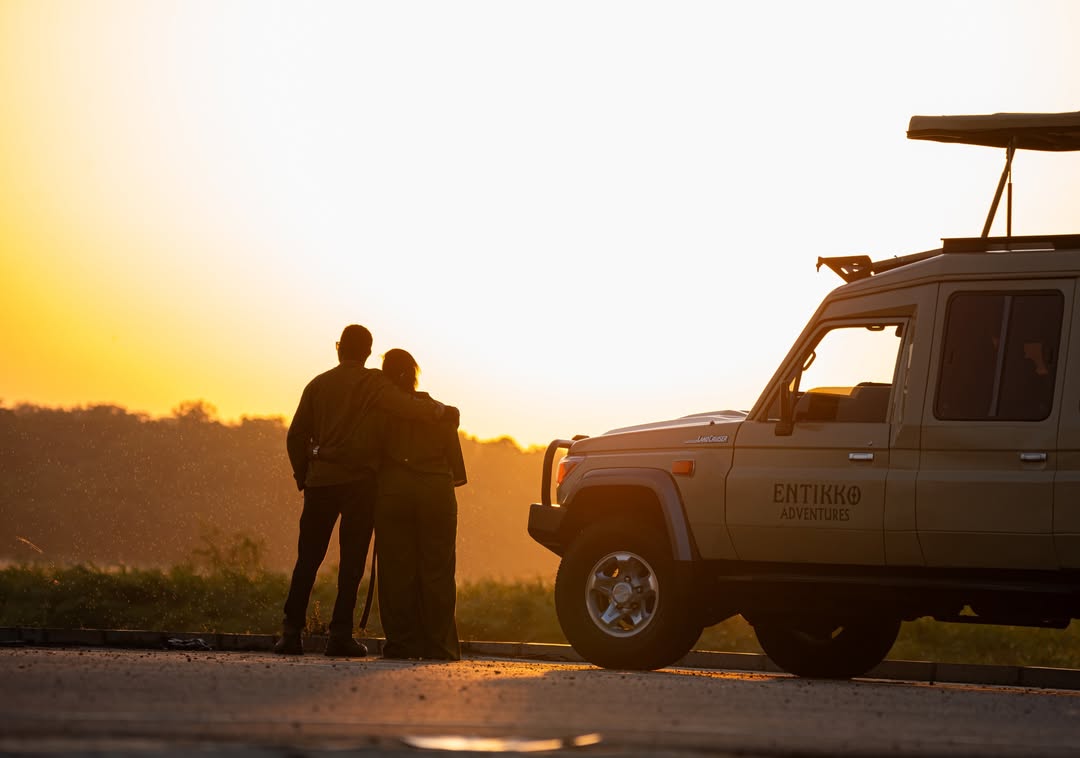 The Untold Safari Brunch